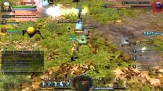 Kadessa and Dhalia's fighting together on Dragon Nest EU