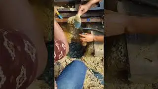 fenomena alam  #fypシ゚viral #news #videoviral #newsheadlines #trendingnews