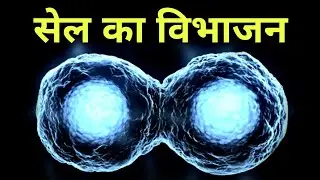 cell अपनी संख्या कैसे बढ़ाता है ? Mitosis in hindi