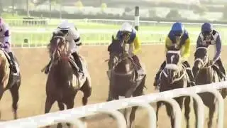 Lani  UAE Derby 2016