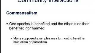 45.1b Community Interactions