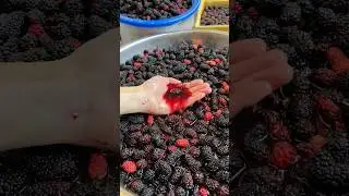 Refreshing mulberry juice for summer#shorts #food