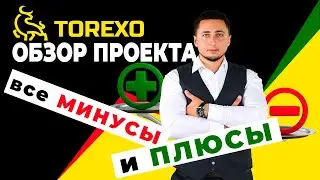 TOREXO / Торексо / Обзор проекта / Какие есть плюсы и минусы ?!