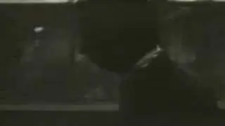 American Music Club - Electric Light
