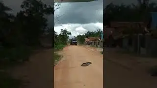 Logging sarpatim tangar