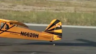 1/5 RC Piper Cub (Clipped Wing), Taxiing around