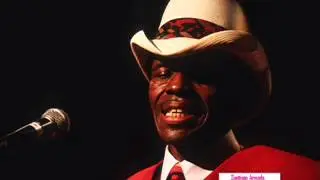 Junior Wells  - Chicago Blues Festiva,l Grant Park Chicago,Illinois, 1991
