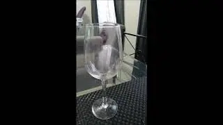 MANERA CORRECTA DE SERVIR VINO