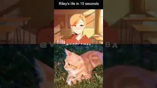🌟 Riley's Life in 10 Seconds! Inside Out 2 Cat Animation