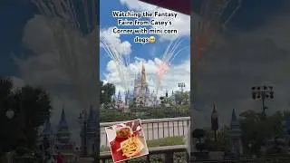 You NEED to try this!!! The best snack with the best view!✨ #disney #corndognuggets  #fantasyfaire