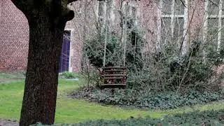 Gran Beguinaje de Lovaina