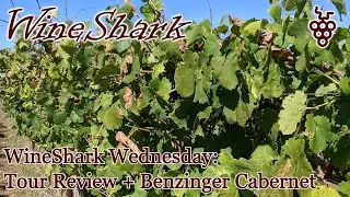 WineShark Wednesday: Tour Review + Benzinger Cabernet Sauvignon