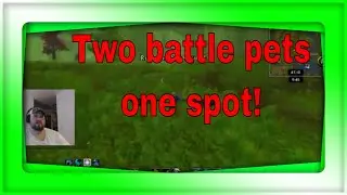 Best Emerald Whelpling and Sprite Darter hatchling spot in World of Warcraft. #goldfarm #goldmaking