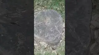 Spotting Signs Of Magick All Around: Local Pentagram Discovery