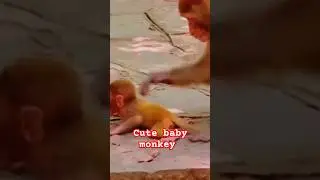Mom cleaning one child ❤️#shorts #funny #youtubeshorts
