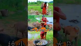 Primitive Technology, Primitive survival in the jungle 10