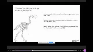 Topics in Palaeobiology and Evolution Controversial Topics in Palaeontology Presentation 2021