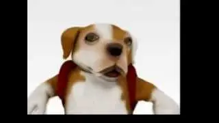 Animales Animados Cantando y Bailando - Animals Animated Singing and Dancing