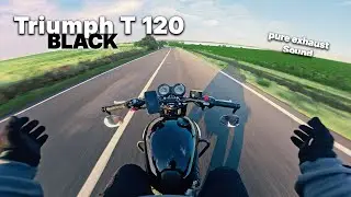 RAW Sound-TRIUMPH | T120 BLACK | pure exhaust