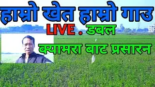 News24 Nepal: हाम्रो गाउ || nepali live news || today news || khabar bulletin TV || vena arjun vlog