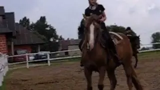 Stajnia Harmony Farm