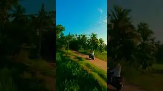 FPV Drone Chase Through Rice Fields in Sri Lanka | Close Call With Power Cables