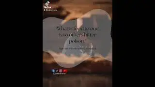 Tok Toh Mhe - Quotes / Sayings / Life /