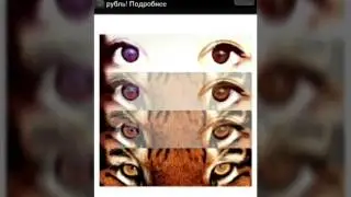 Instaeyes/обзор/как правельно пользоватся?