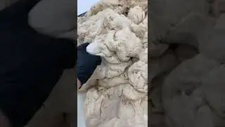 Freshly made Panzarotti dough