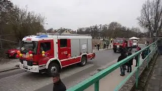 Rosenmontag 2026 in Gartz 2