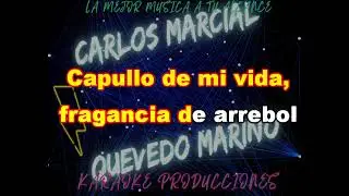 Medley Cumbias Bailables Rosita Este Aguacero KARAOKE