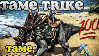 HOW TO TAME TRIKE IN ARK MOBILE ( tame & saddle)