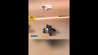 Stunt Eight Wheel Robot Dog Remote Control #toys #robottoys #toysforkids #remotecontroltoys