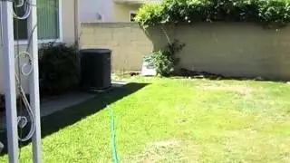 Homes for Sale - 13527 Reva Pl Cerritos CA 90703 - Jenny Kang