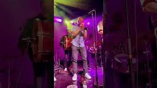 Mama Digdowns Brass Band #brassband #jazz #brass #live
