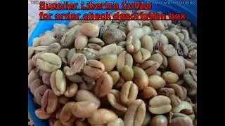 Excelsa Coffee Beans Taste - We Supplier From Indonesia Whatsapp +62822 2221 1225