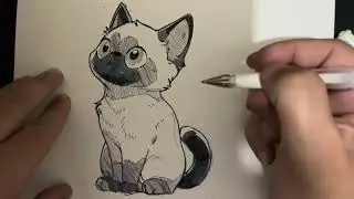 How to Draw Siamese Cat | A Siamese Cat Drawing