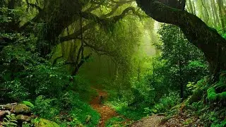 World Nature Conservation Day - A Small Message