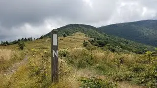 Section hike Carver's gap to 19E on the Appalachian trail