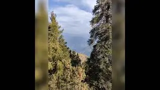 Beautiful Jammu Kashmir 😊☃️☃️