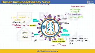 Biodiversity Acellular life lecture  10