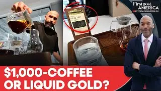 Dubai Unveils the World&rsquo;s Most Expensive Panama Geisha Coffee at $1,000 a Cup | Firstpost America &nbsp;