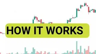 How Stock Markets Actually Work (Beginners Friendly)