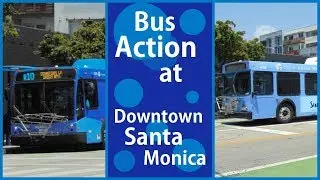LA Metro and BBB Bus Action at Downtown Santa Monica