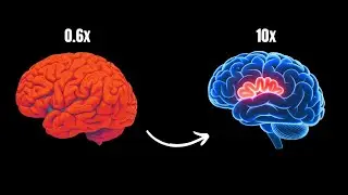 How to learn ANYTHING way faster than anyone
