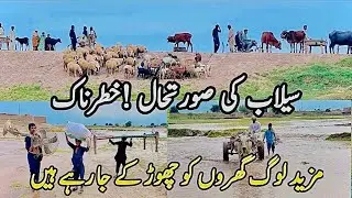 Flood In Punjab Ground report Gates of Salal Dam on River Chenab Opened | High Alert flood situation