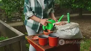 Leachate, extact, and teas associated with worms and compost