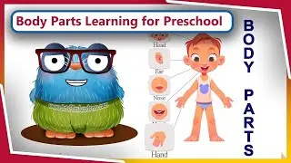 Learn Body Parts in English for Kids 👶 | Fun Cartoon Learning