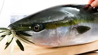 葉っぱを食べて育ったお魚の味とは？