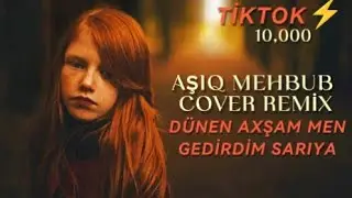 Aşıq Mehbub Remix &ndash; D&uuml;nən Axşam Men Gedirdim Sarıya (Meşe mehərremi &ccedil;əkin gelsin arıya)